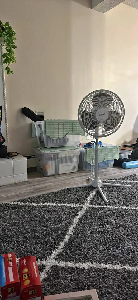 For Living Fan