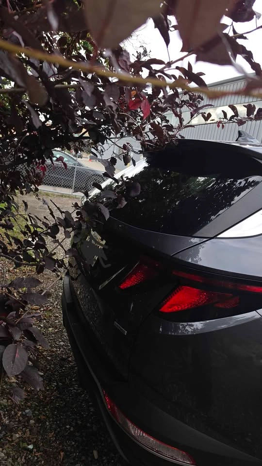 2022 Hyundai Tucson - photo 5