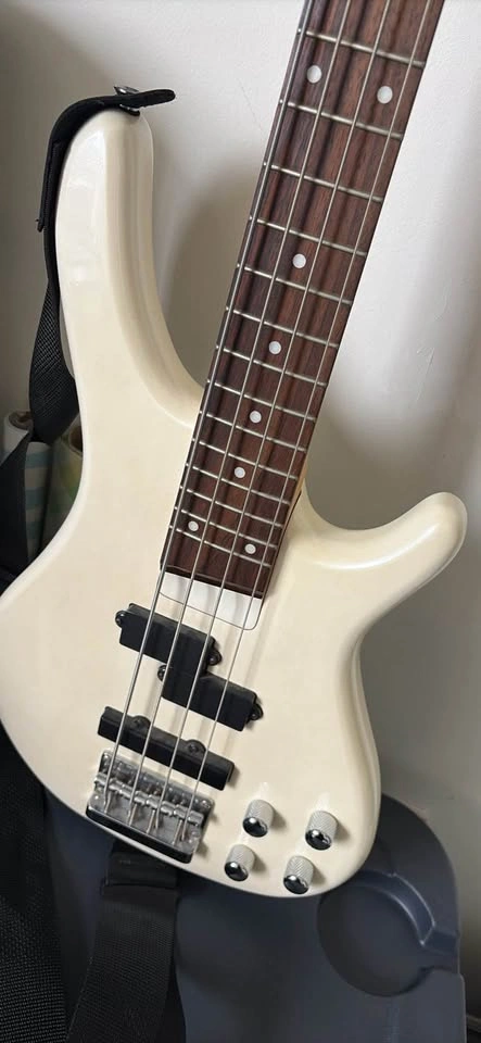 Voodoo Bass - photo 2