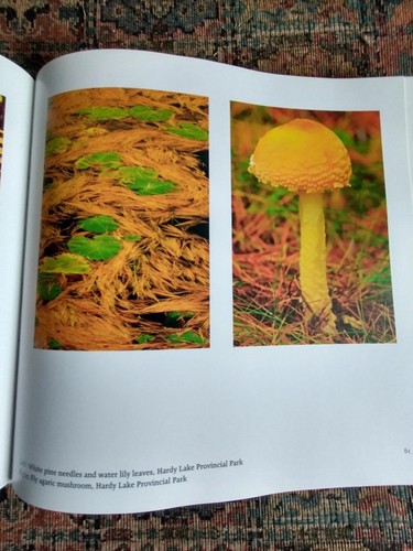 Muskoka Photography Book Mike Grandmaison Ontario Cottage Countr - photo 2
