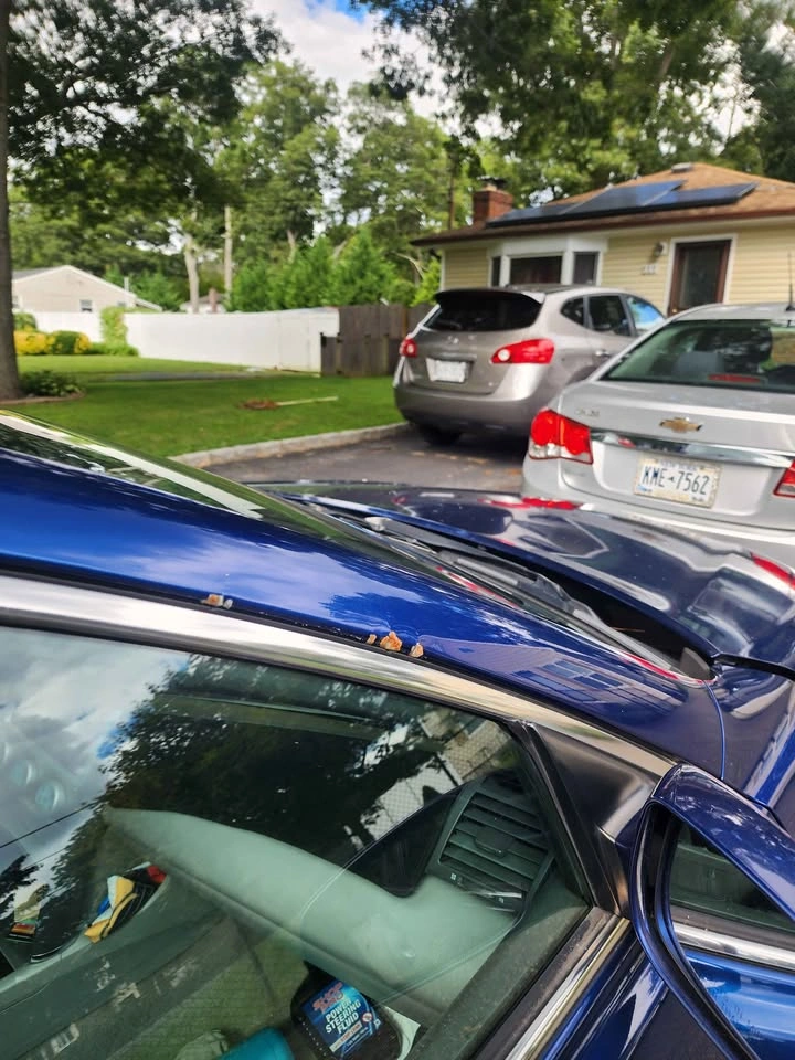 2009 Toyota Camry Sedan 4D - photo 4