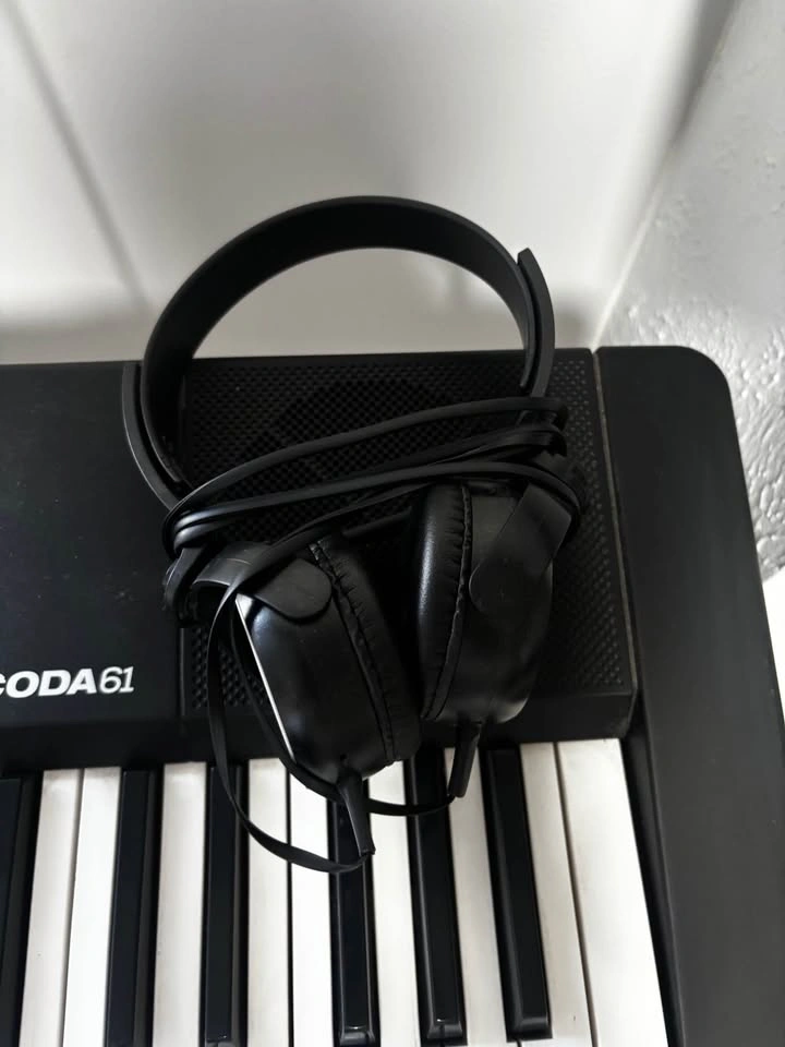 Alesis Coda 61 Digital Piano Keyboard - photo 3