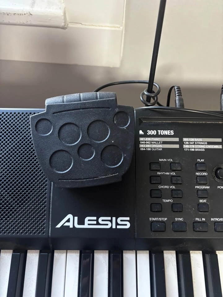 Alesis Coda 61 Digital Piano Keyboard - photo 4