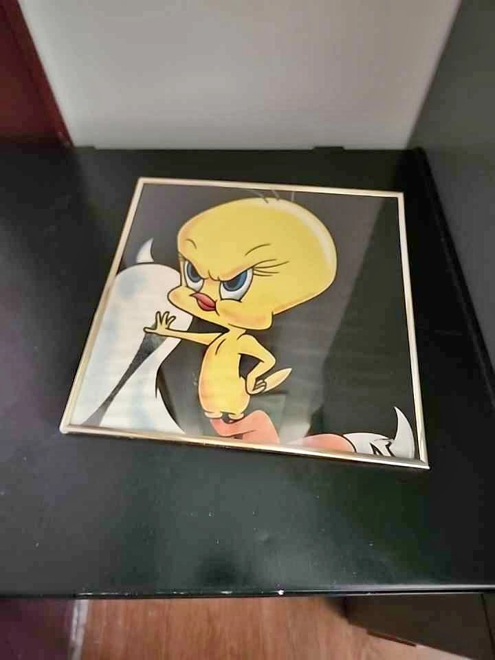 Framed Looney Tunes Tweety Bird Art 1995 vintage 🏈