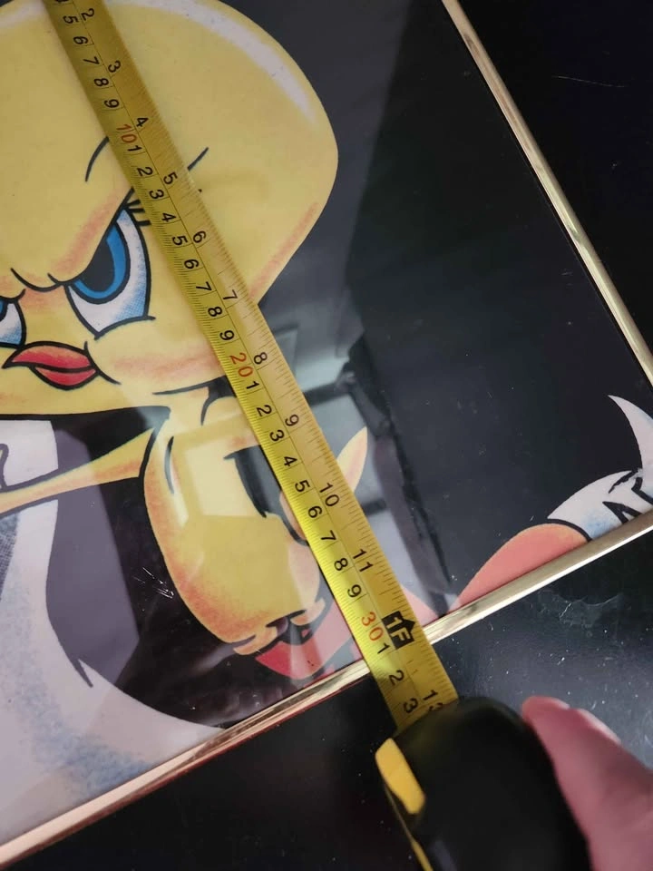 Framed Looney Tunes Tweety Bird Art 1995 vintage 🏈 - photo 5