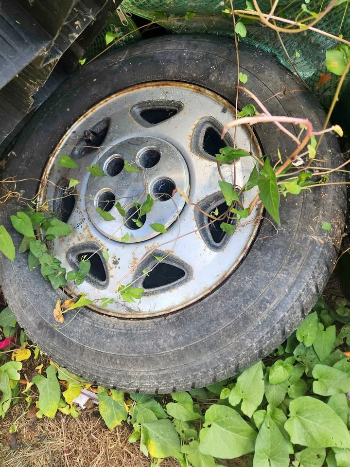 Vintage OEM Dodge Daytona Factory Rims – Set of 4 (4x100) 🏈
