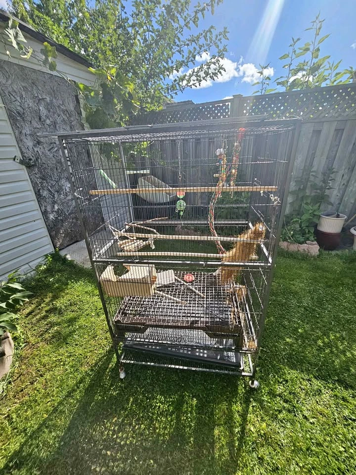 Large Bird Cage
