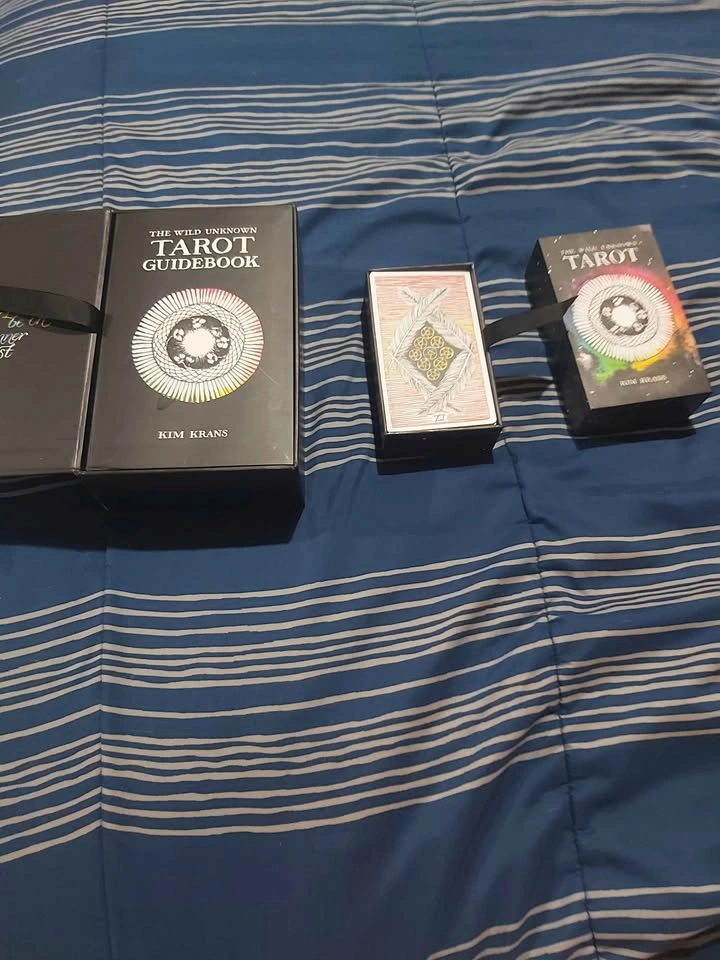 Tarot Deck and Book (Wild unknown Tarot) - photo 2