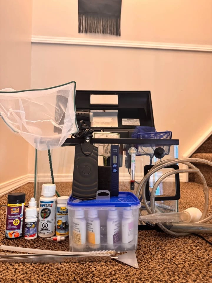 5 Gallon Glass Fish Tank with Filter, Light, and Maintenance Kit