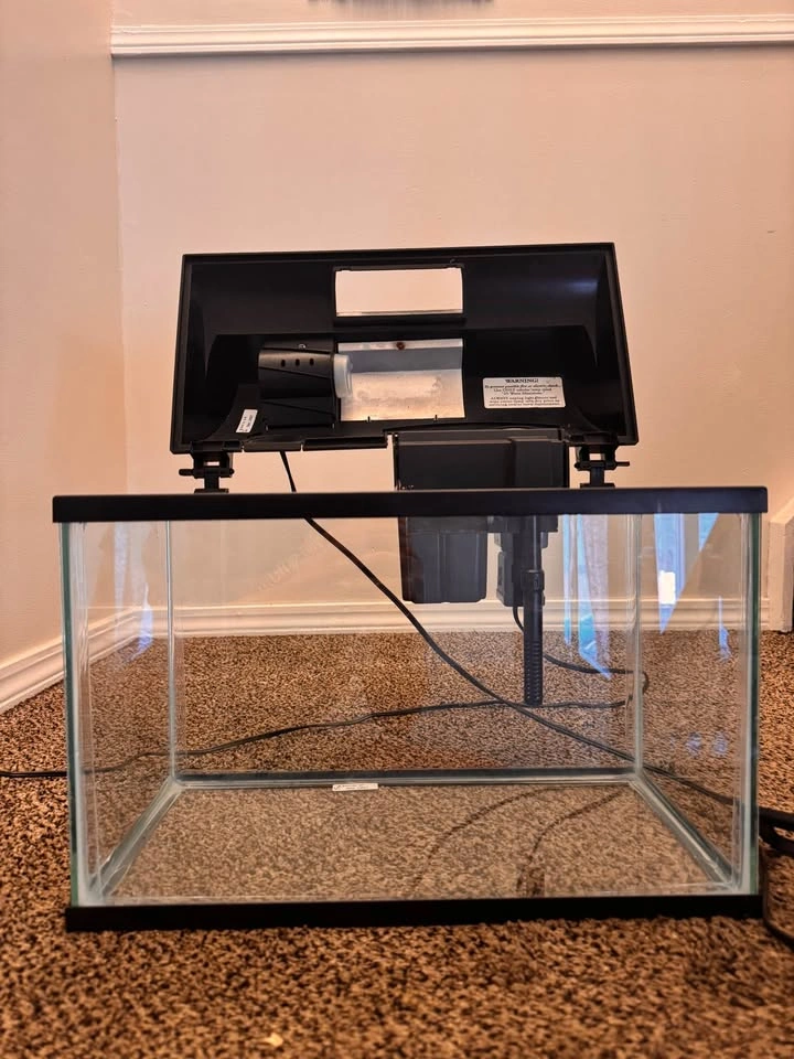 5 Gallon Glass Fish Tank with Filter, Light, and Maintenance Kit - photo 3