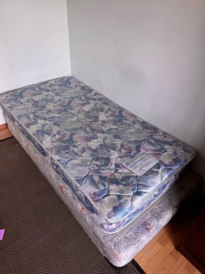 Spring Mattress and Box Spring Set Sealy