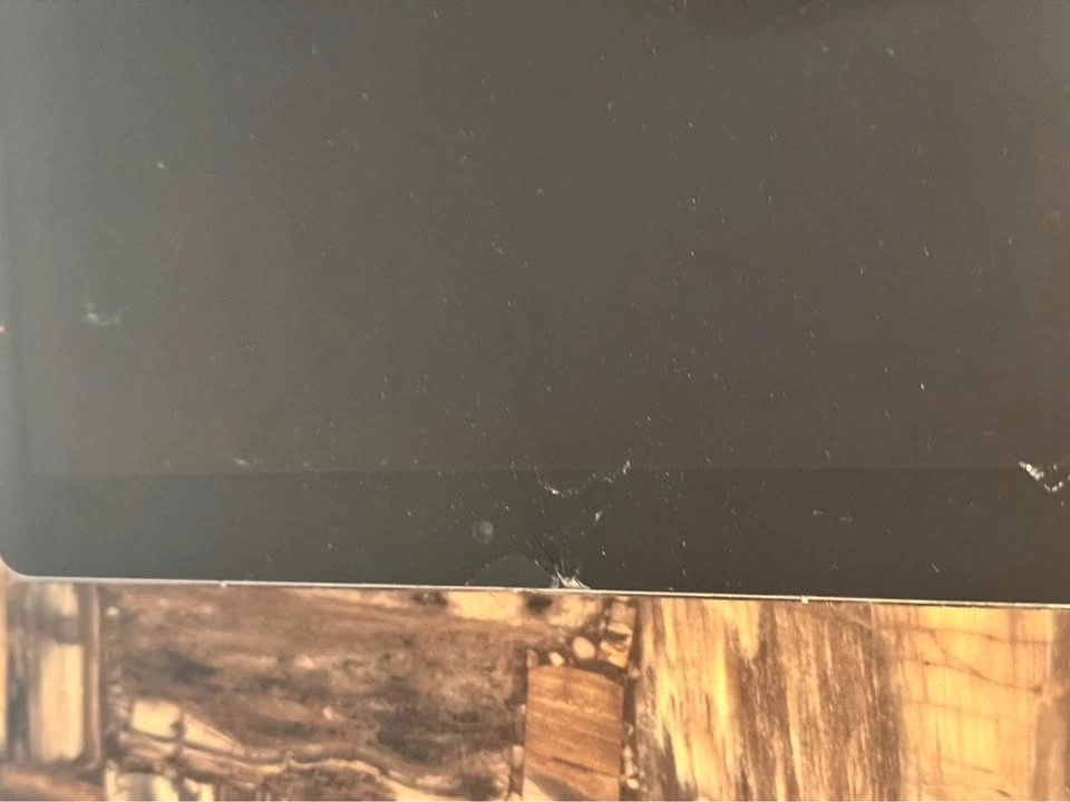 Apple iPad Pro (12.9-inch) (2nd generation) 256GB - photo 5