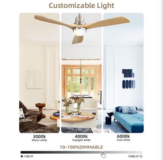 Sofucor 52 Inch Ceiling Fan - photo 4