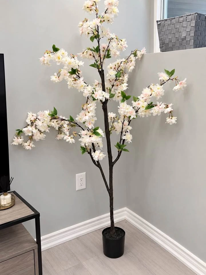 Cherry Blossom Tree