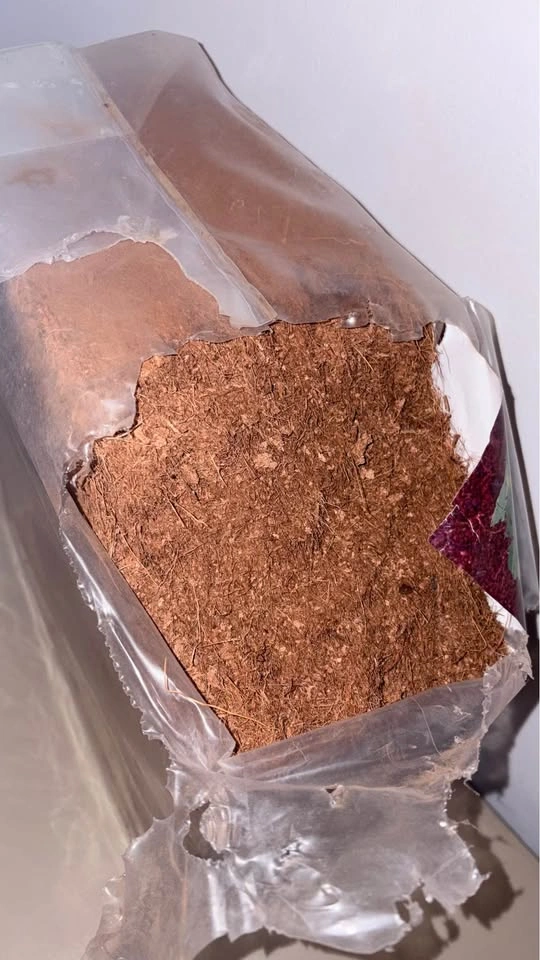 COCONUT bedding, Substrate, 100% natural, for burrowing - photo 3