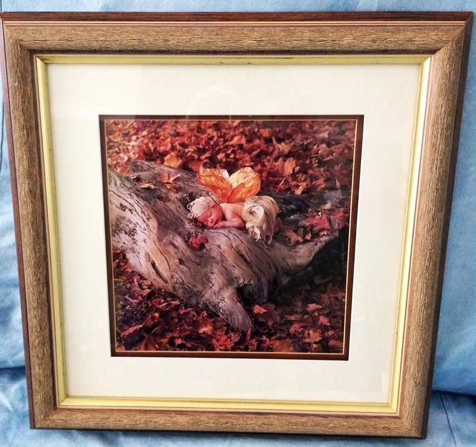 Framed Anne Geddes Art Work