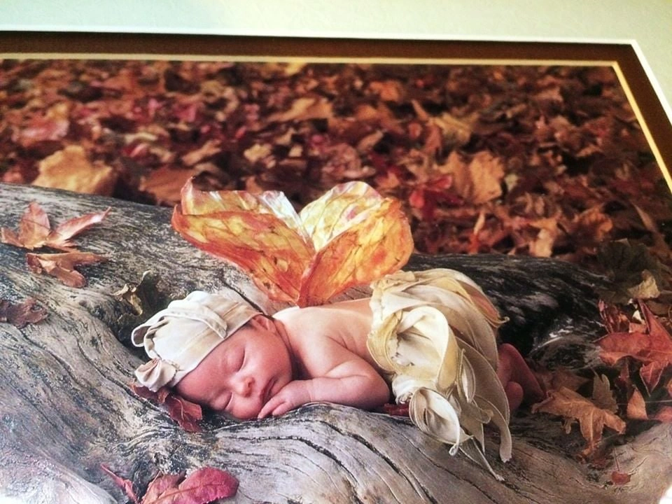Framed Anne Geddes Art Work - photo 2