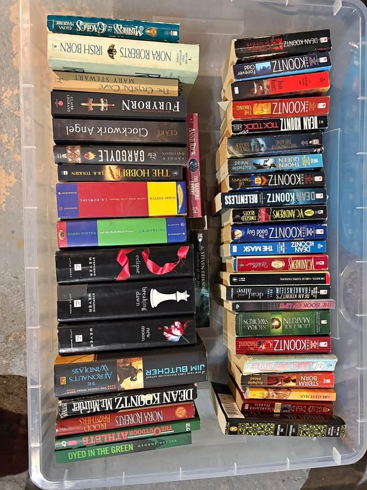 Huge Book Lot: 42 Fantasy, Horror, and Romance Books