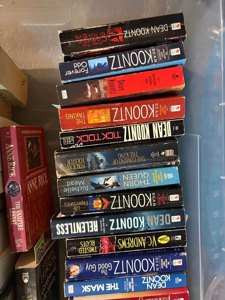 Huge Book Lot: 42 Fantasy, Horror, and Romance Books - photo 2