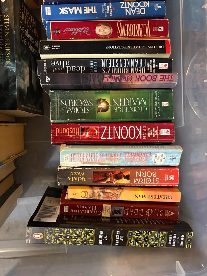 Huge Book Lot: 42 Fantasy, Horror, and Romance Books - photo 3