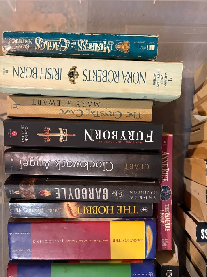 Huge Book Lot: 42 Fantasy, Horror, and Romance Books - photo 4