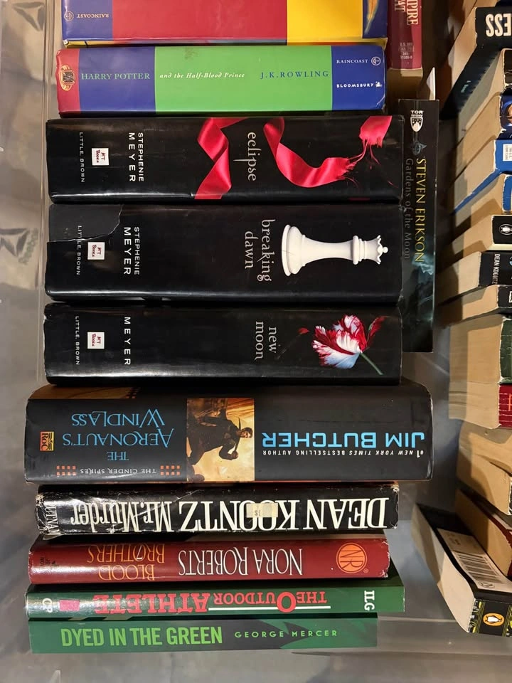 Huge Book Lot: 42 Fantasy, Horror, and Romance Books - photo 5