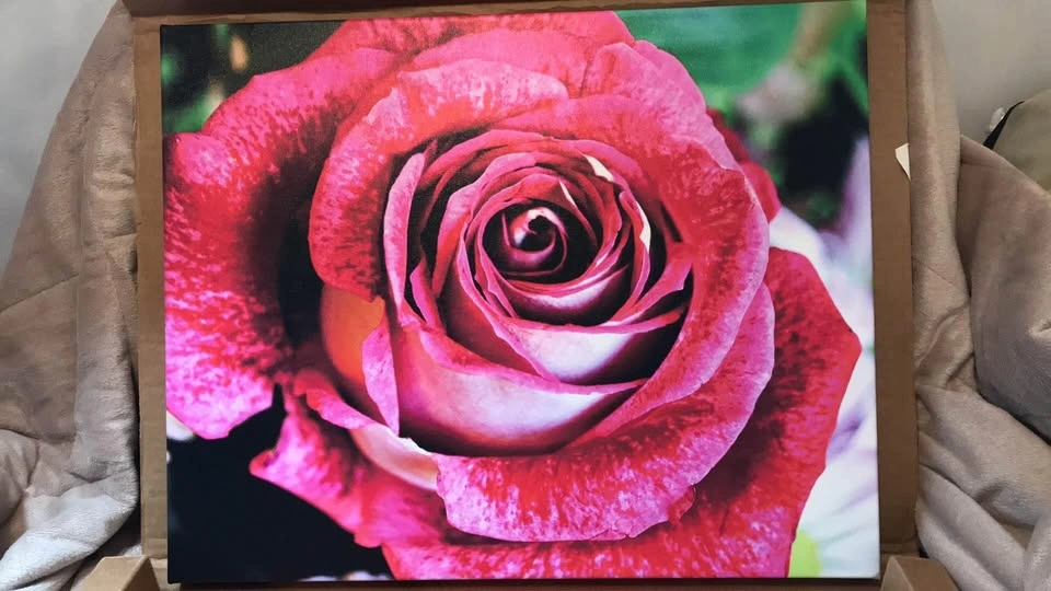 ROSE, FLOWER CANVAS, wood frame 16 x 20 inch - photo 5