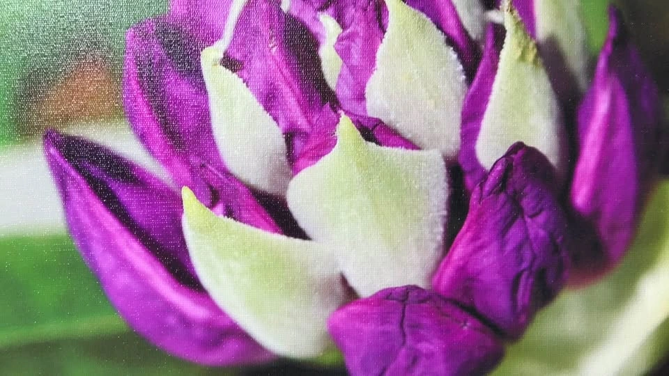 Purple Rhododendron Flower Canvas Art 8x10 Framed Photo - photo 2