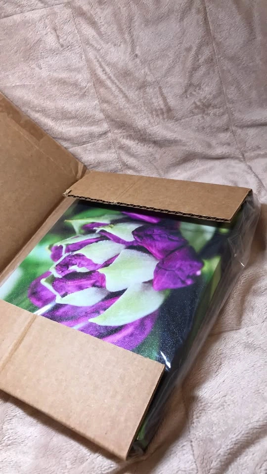 Purple Rhododendron Flower Canvas Art 8x10 Framed Photo - photo 5