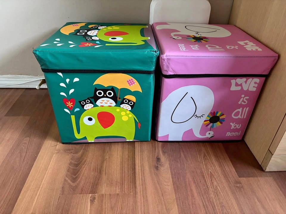 Set of 2 Children's Animal Storage boxes