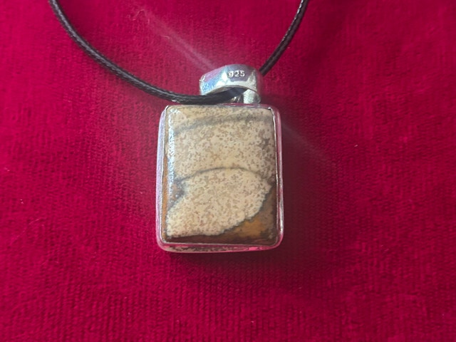 Fossil Stone Pendant Necklaces - photo 2