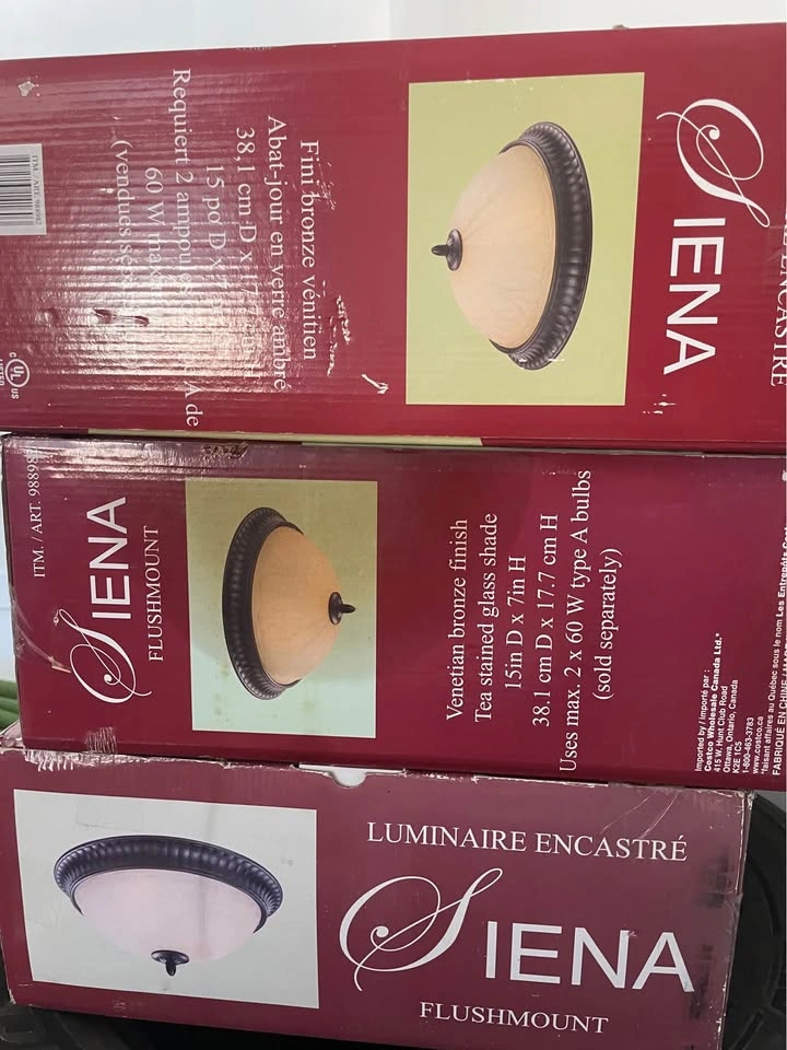 Vienna Flush Mount Light Fixtures 6 in total - photo 2