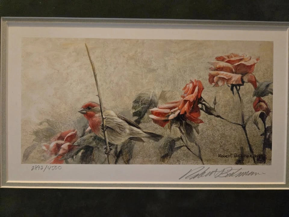 Robert Bateman “House Finch and Roses” Signed Limited Edition Pr - photo 3