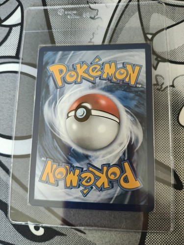 Umbreon Card Bundle! - photo 4