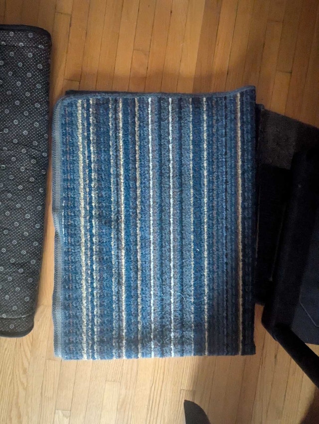 Blue Rug