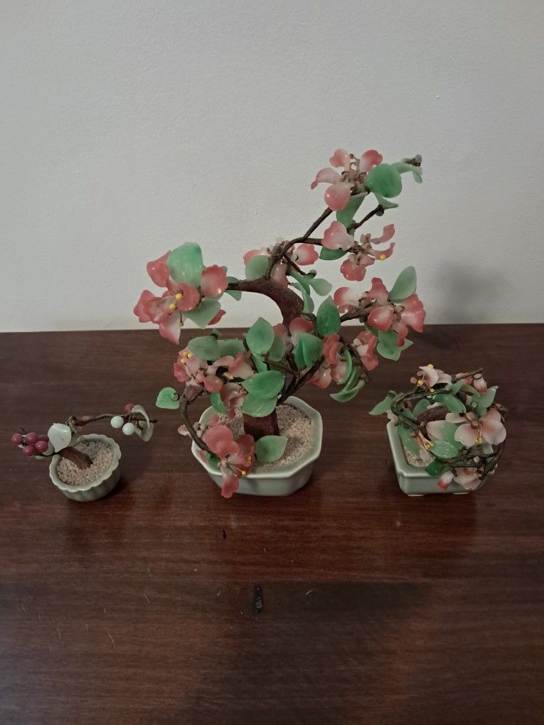 Bonsai tree