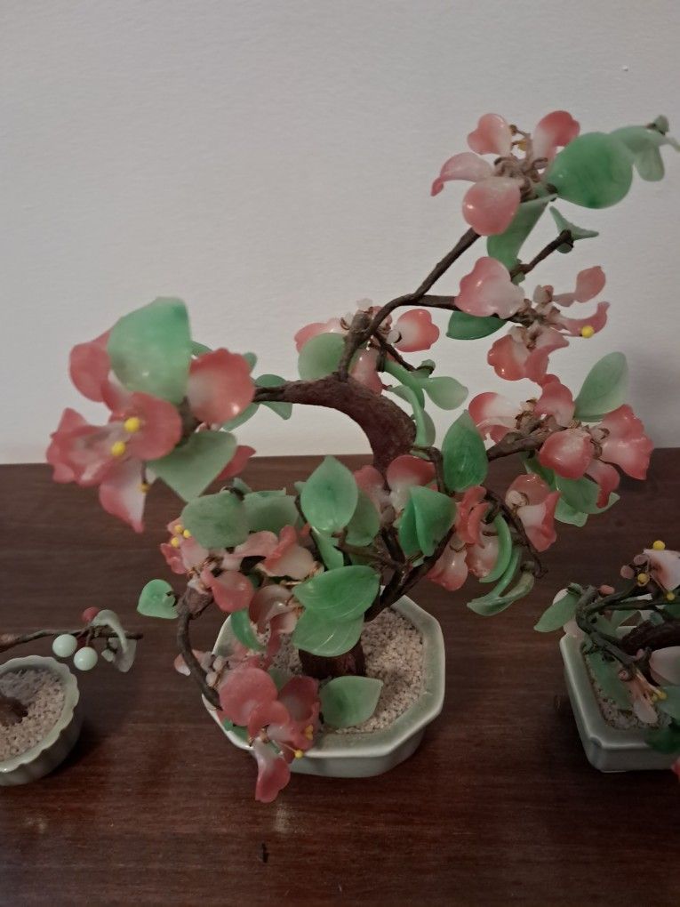 Bonsai tree - photo 2
