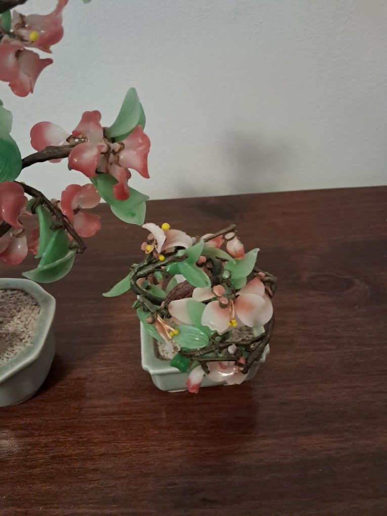 Bonsai tree - photo 3