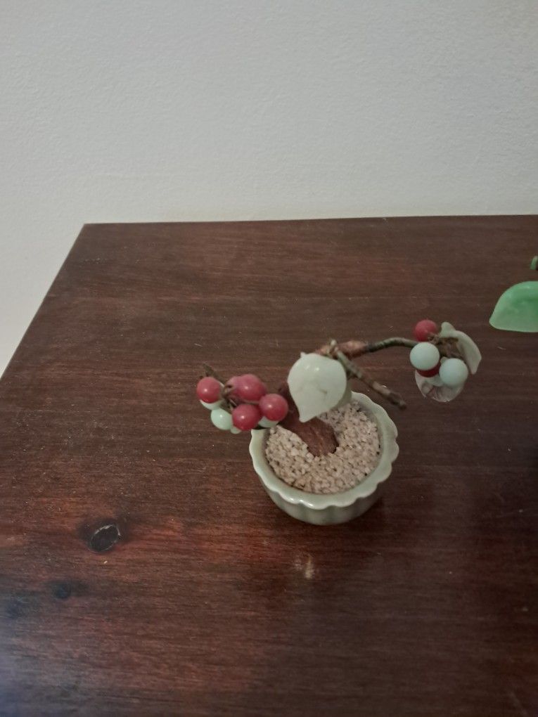 Bonsai tree - photo 4