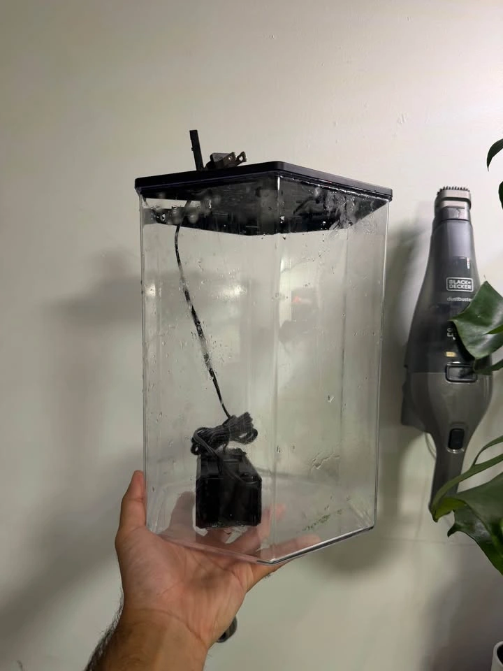 Imagitarium 2.5 Gallon Hexagon Aquarium - photo 4