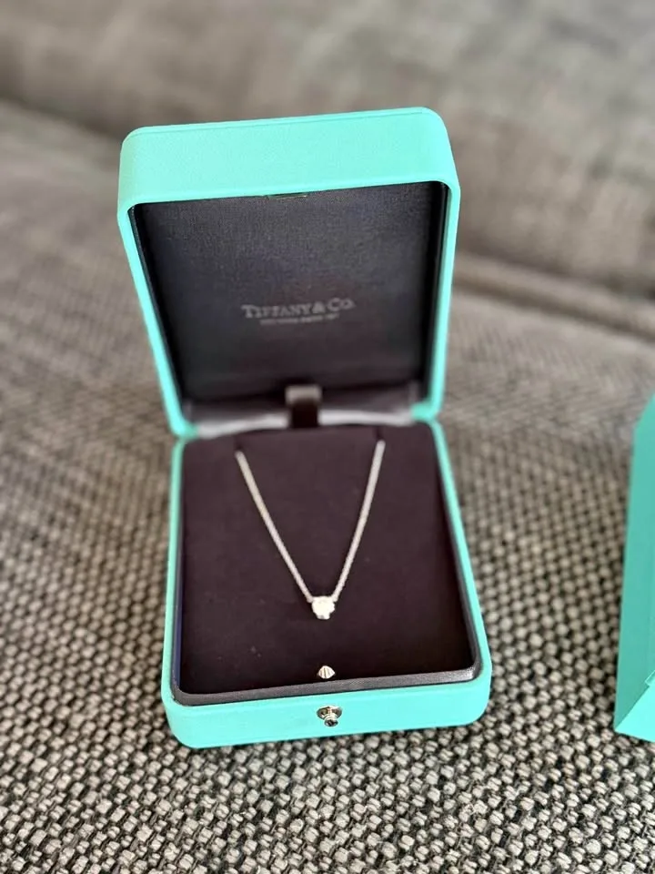 Pristine Tiffany & Co. platinum diamond solitaire pendant neckla