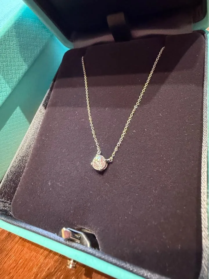 Pristine Tiffany & Co. platinum diamond solitaire pendant neckla - photo 2