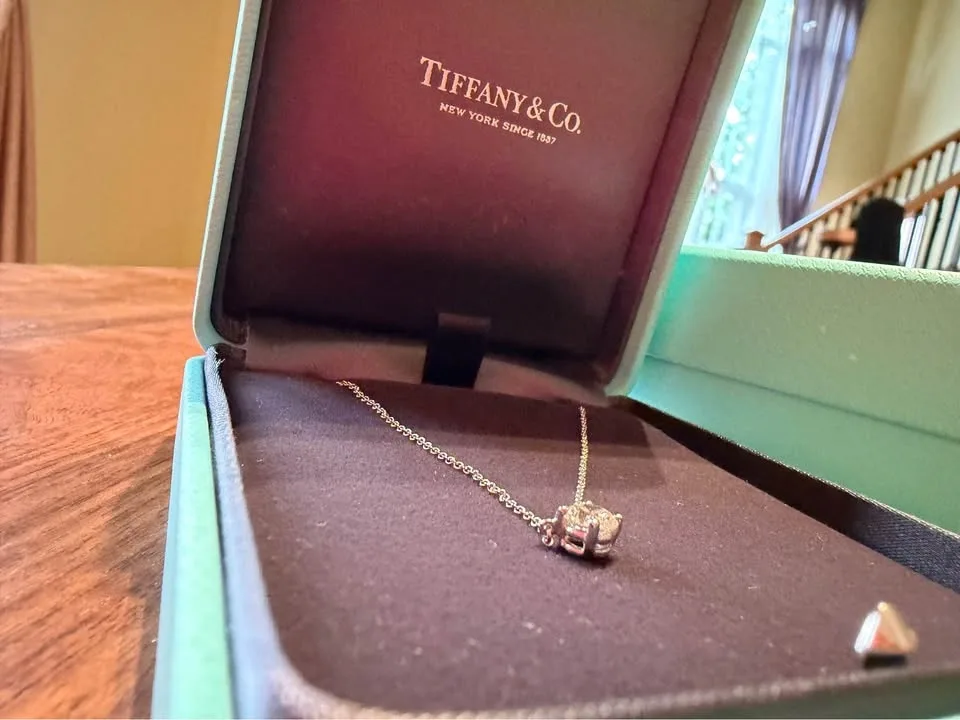 Pristine Tiffany & Co. platinum diamond solitaire pendant neckla - photo 3