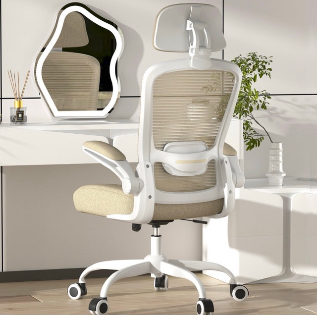 Ergonomic Office chair