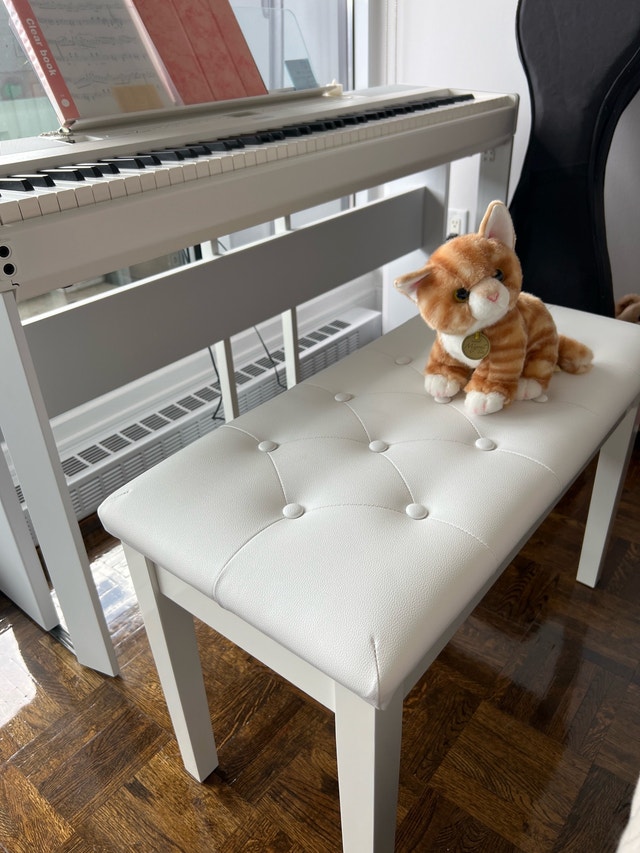 Piano Bench with cushion & storage