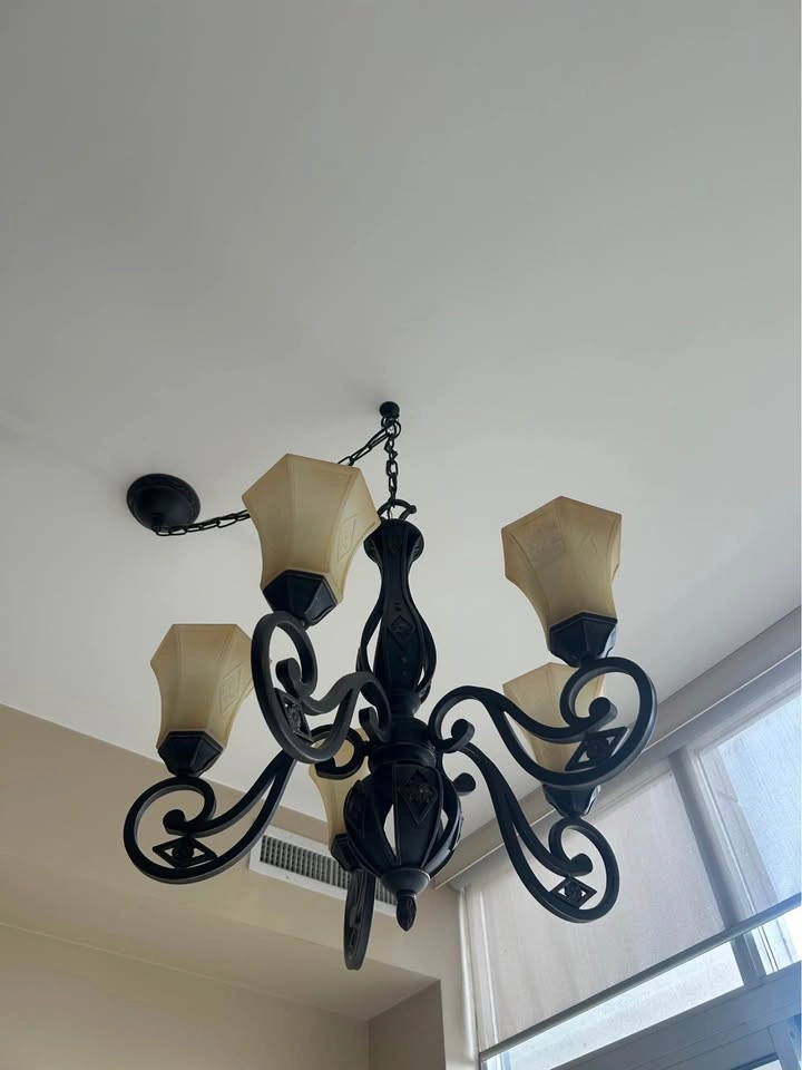 Light fixtures (x2) - photo 2
