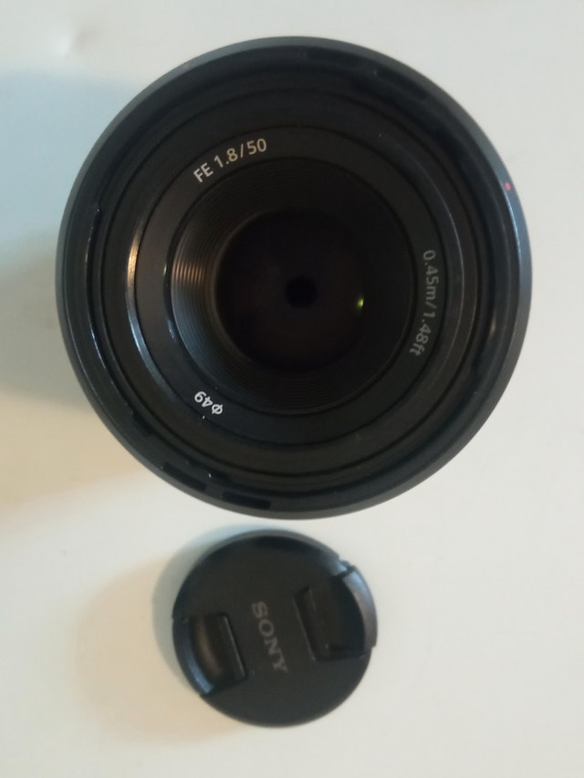 Sony FE 50mm F1.8 - photo 4