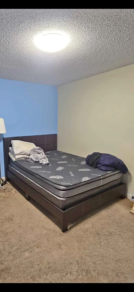 Queen Bed Set: Frame, Box Spring, and Mattress