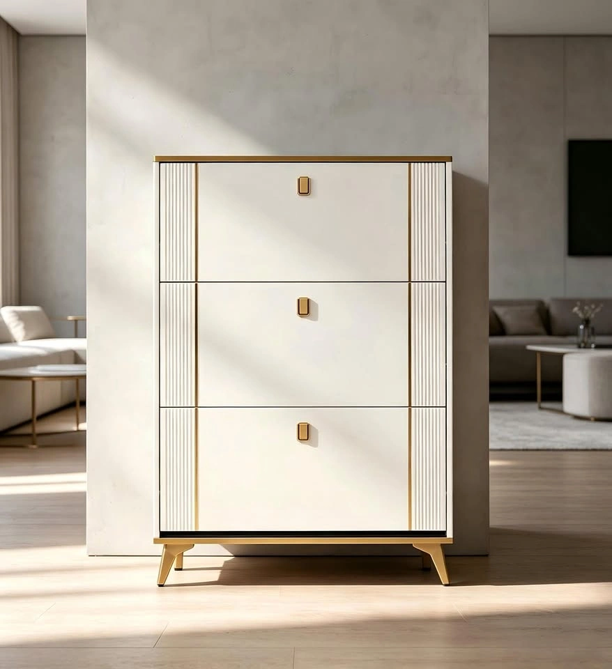 Modern Minimalist Slim Shoe Cabinet From $95