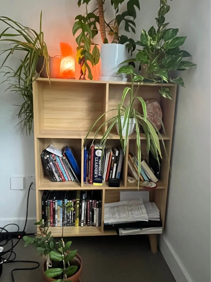 Bookshelves - photo 2